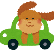 dog_drive_car.png