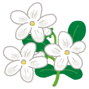 lavender_jasmine.png